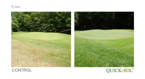 ComparaciÃ³n de Tamano 37 dias