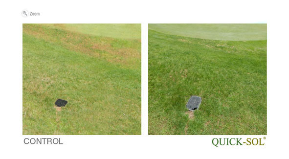 ComparaciÃ³n de Tamano 37 dias