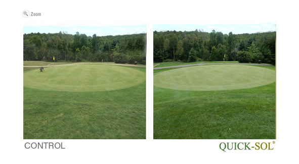 ComparaciÃ³n de Tamano 37 dias