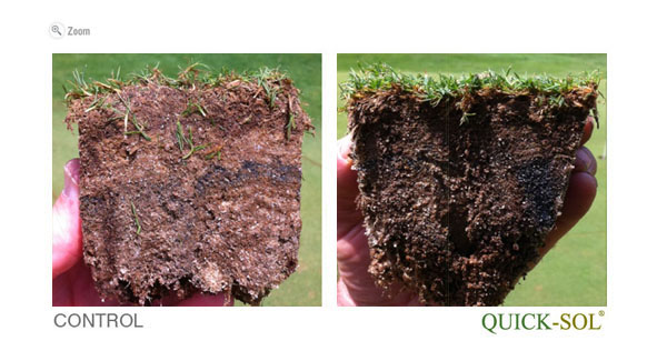 ComparaciÃ³n de Tamano 37 dias