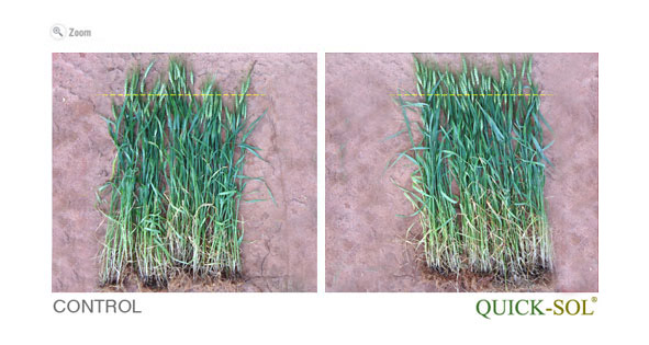 ComparaciÃ³n de la uniformidad en la insercion de la espiga